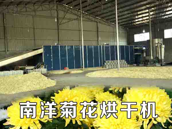 菊花（huā）烘幹機（jī）