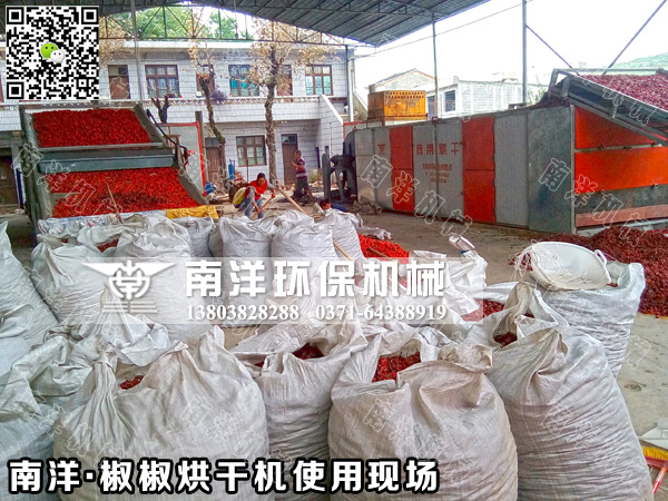 辣椒烘幹（gàn）機使用現場