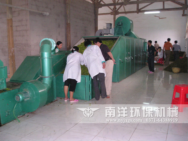 金銀花烘幹機使（shǐ）用（yòng）現場（chǎng）