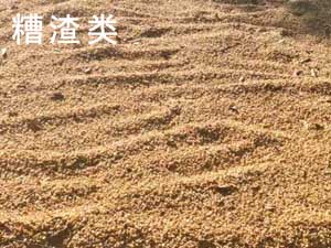 糟渣烘幹解決方案