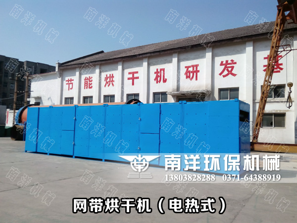 賀91污视频（yáng）環（huán）保（bǎo）電熱式網帶烘幹機成套設備出口