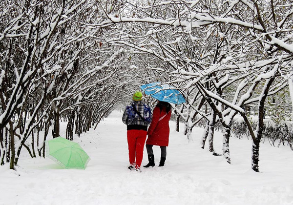 瑞雪兆豐（fēng）年